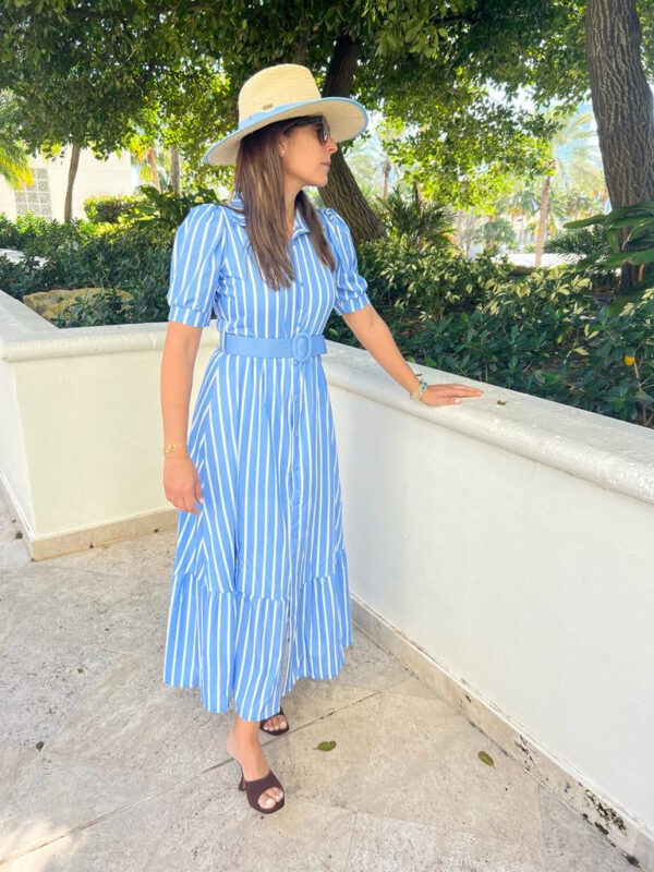 Elegant striped button down dress
