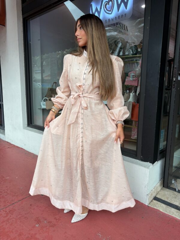 Elegant sheer sparkle button design dress