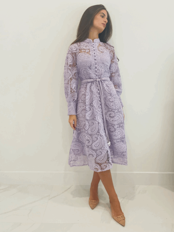 Elegant Lace Embroidered Midi Dress With Slip